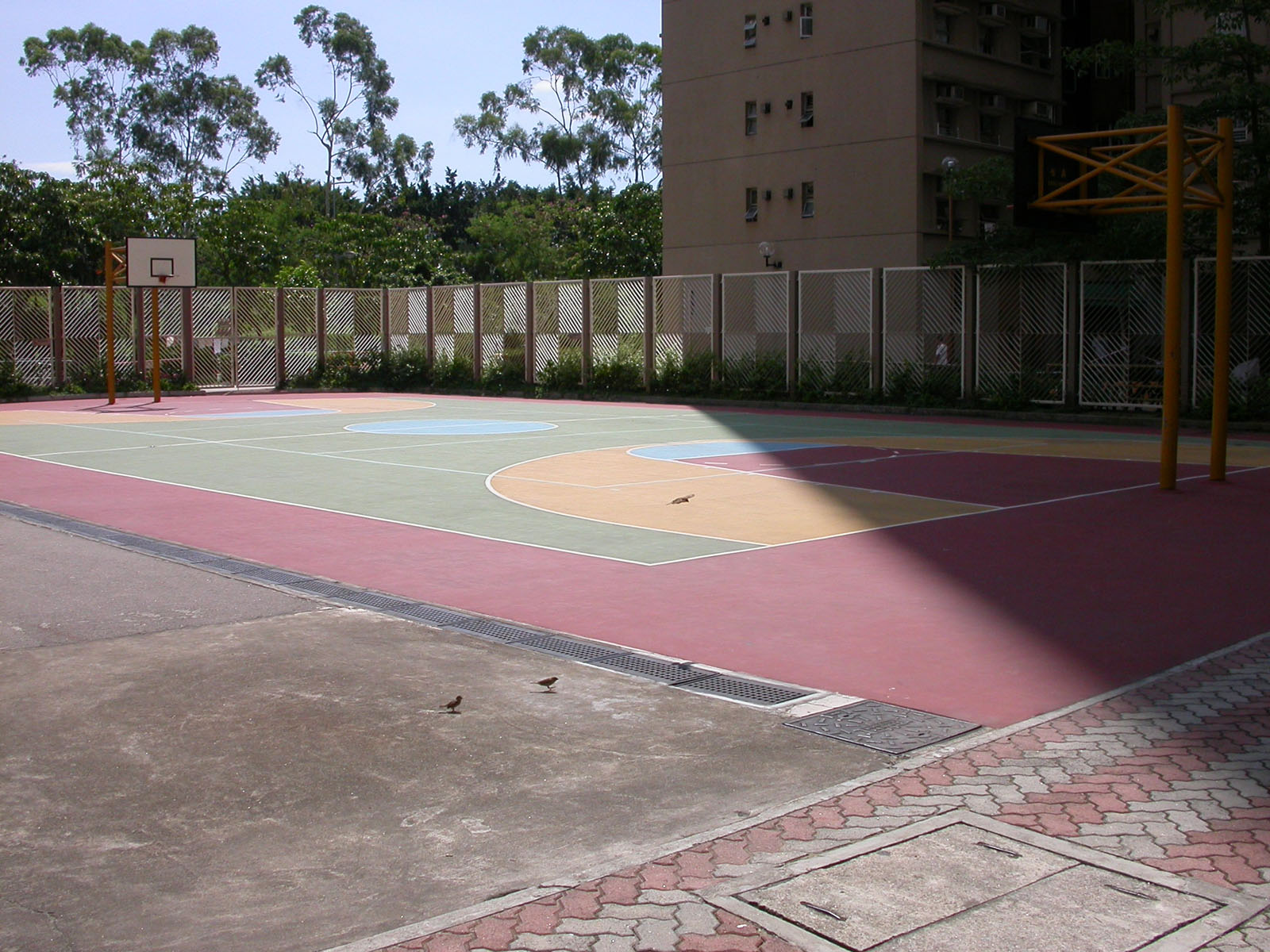 Photo 5: Tai Po Baptist Public School