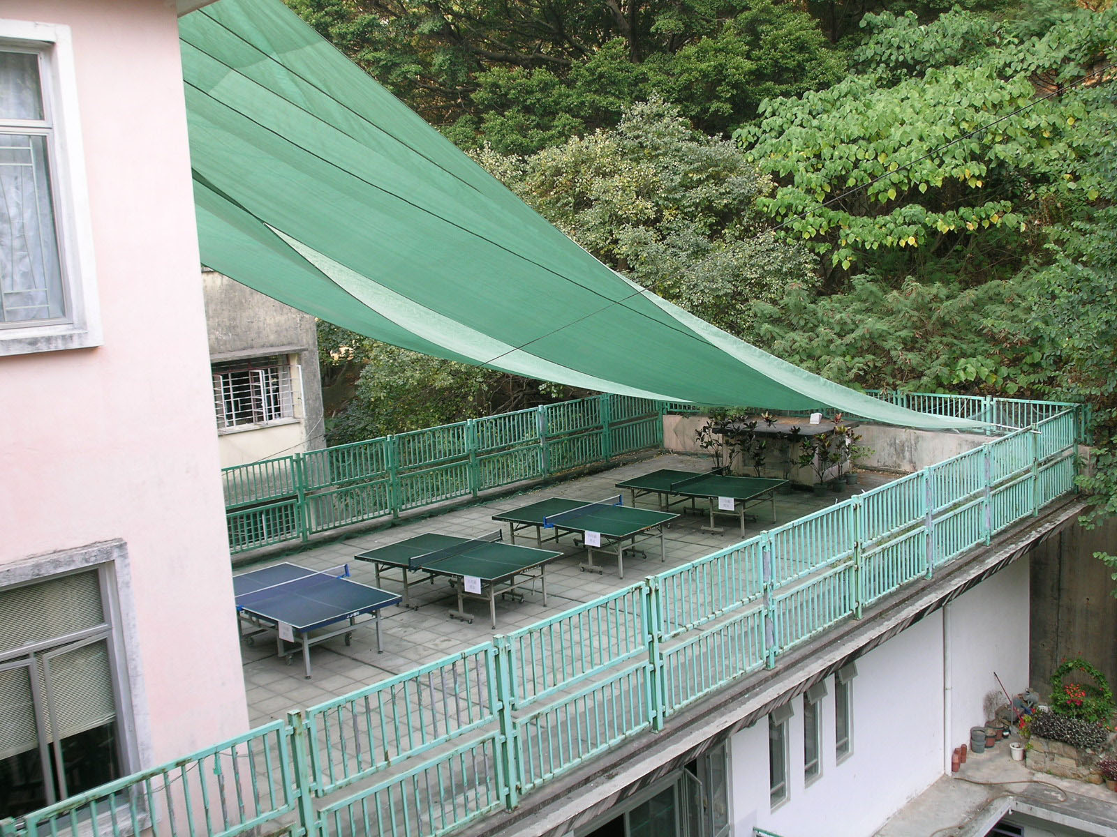 Photo 6: Li Sing Tai Hang School