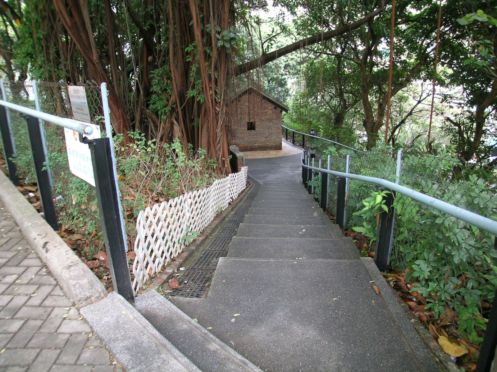 相片 2: 羅屋民俗館休憩花園