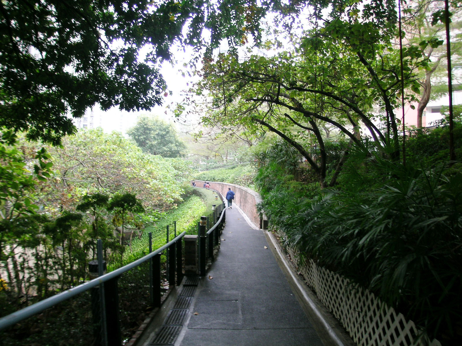 相片 4: 羅屋民俗館休憩花園