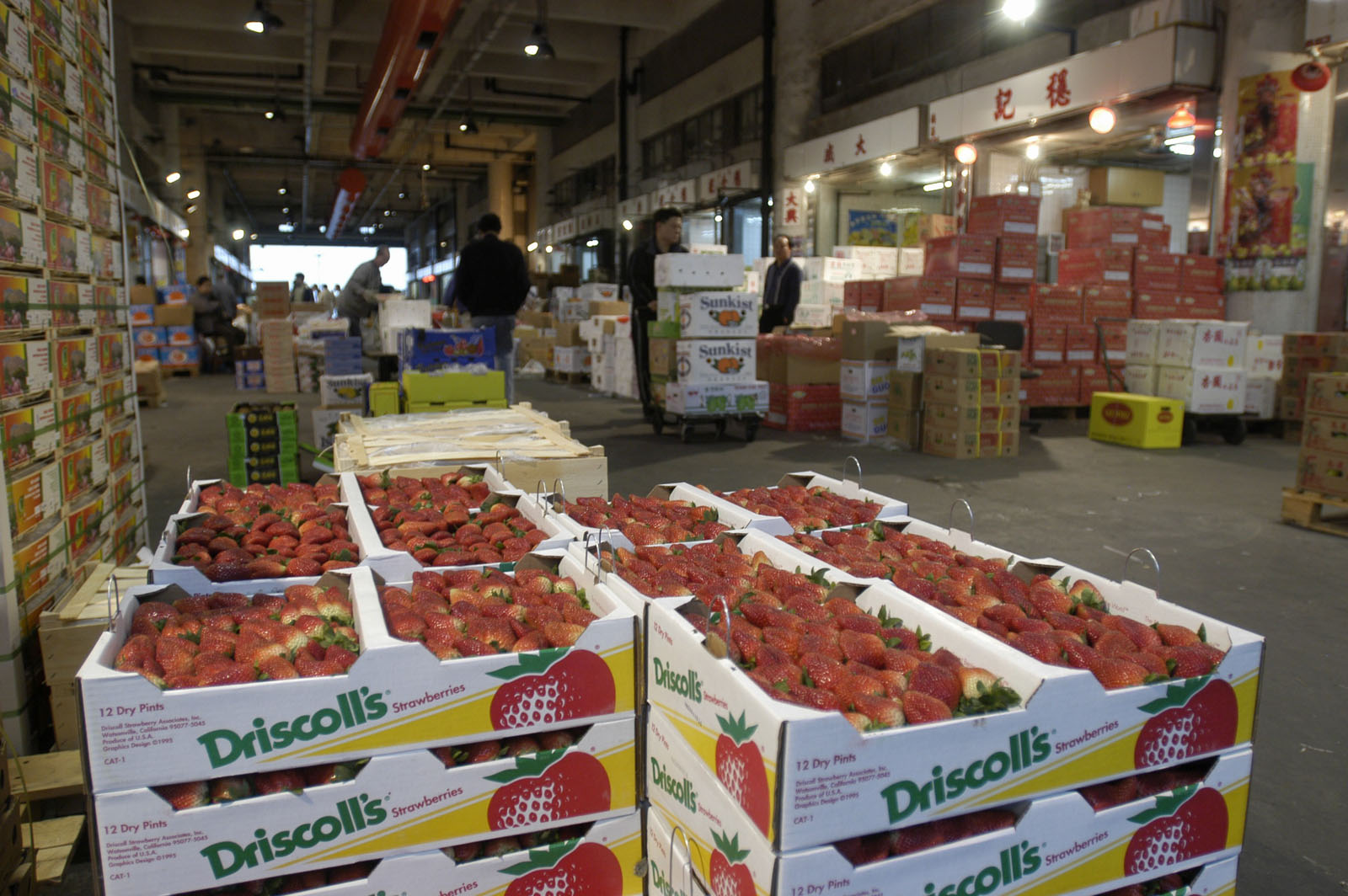 Photo 5: Yaumatei Wholesale Fruit Market