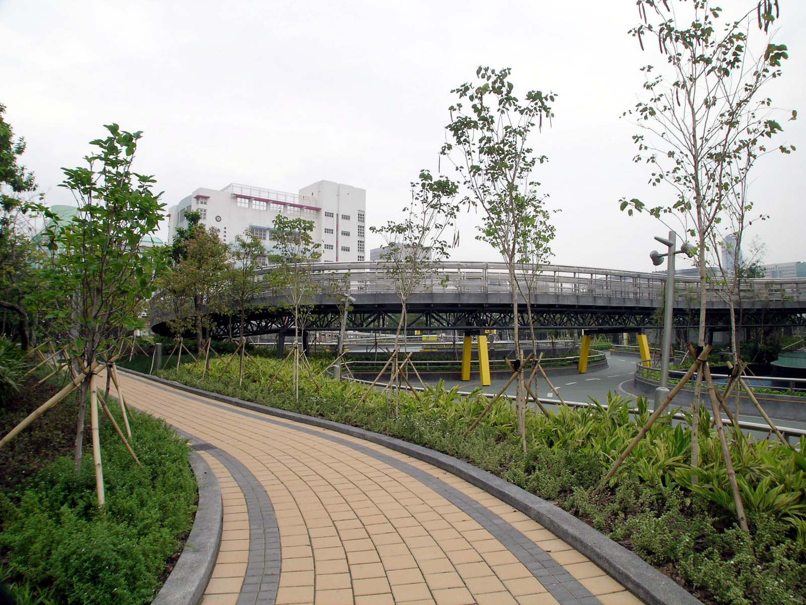 Photo 6: Kowloon Bay Park