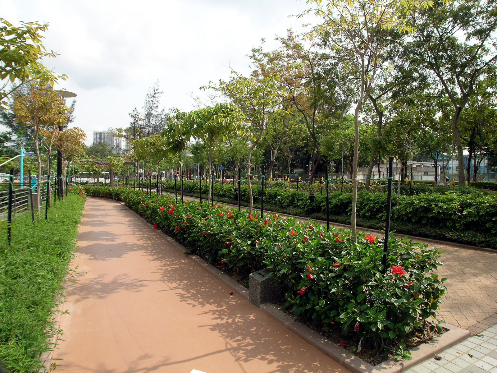 Photo 4: Fan Leng Lau Road Playground