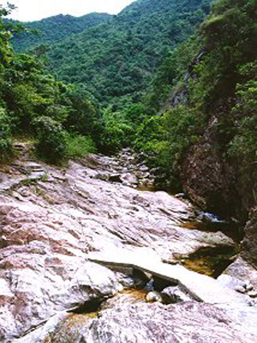 Photo 6: Ping Nam Stream