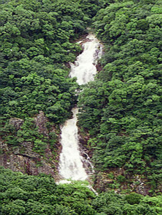 Photo 3: Wong Lung Stream