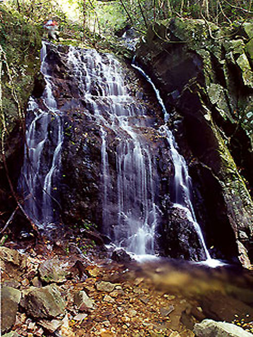 Photo 5: Wong Lung Stream