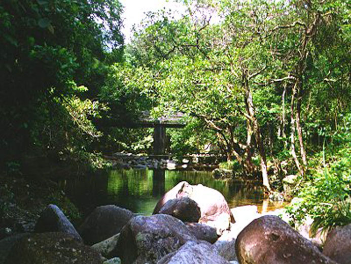 Photo 2: Tai Shing Stream