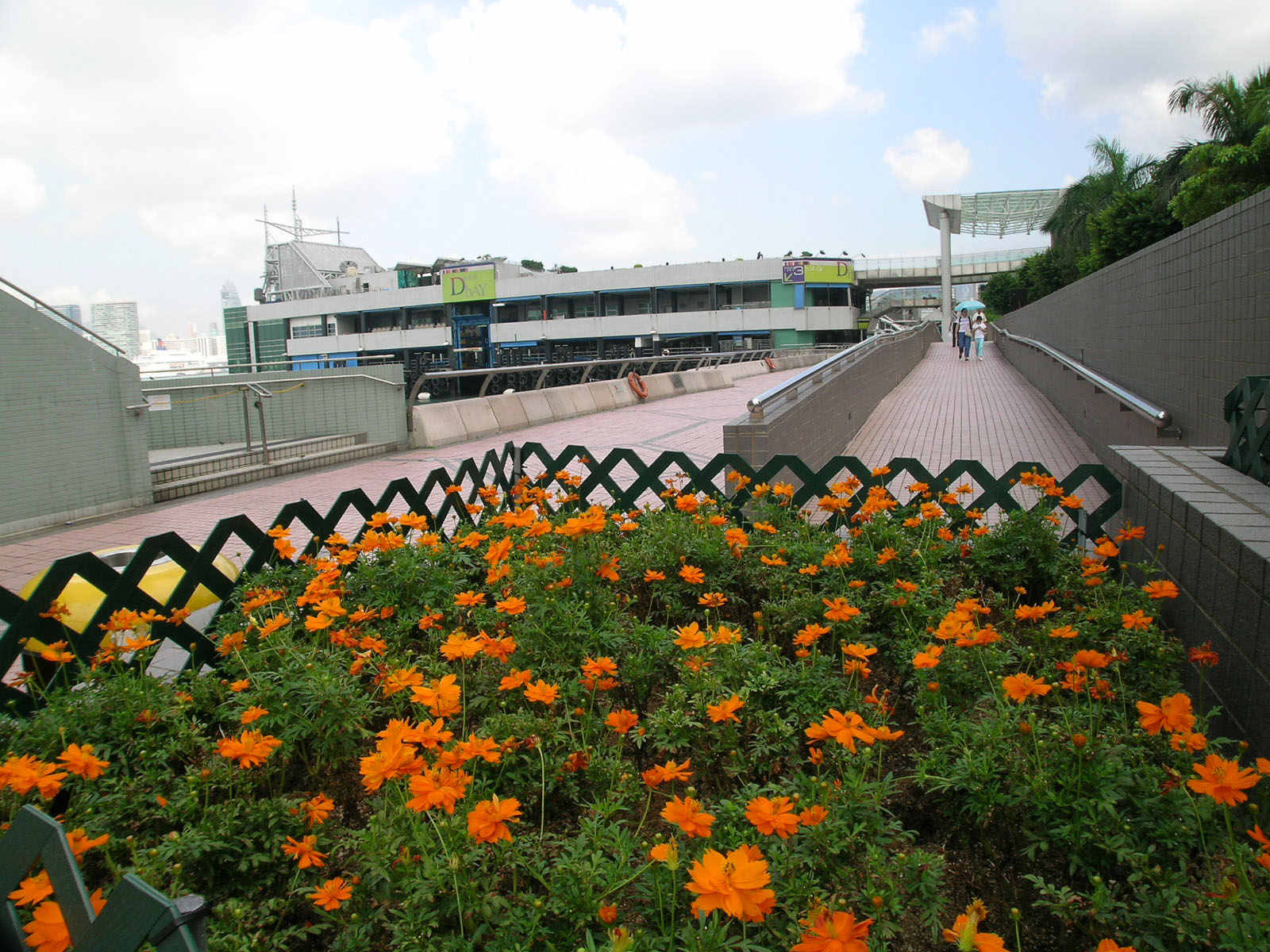 Photo 4: Promenade between Central Pier 2 and Pier 4