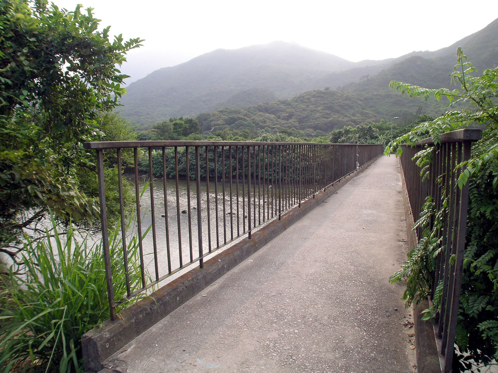 Photo 3: Tung Chung Camp