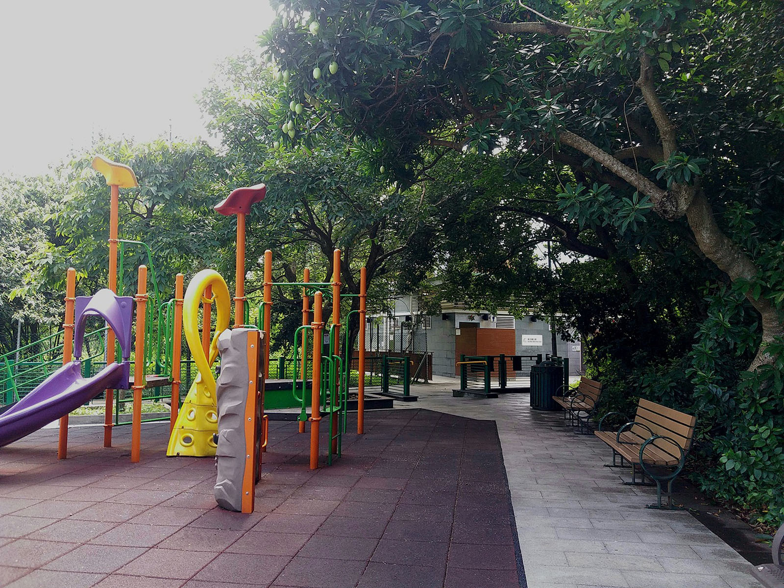 Photo 3: Hau Wong Temple Children's Playground, Tung Chung