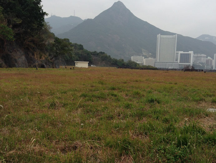 Photo 2: Mount Davis Service Reservoir Temporary Garden