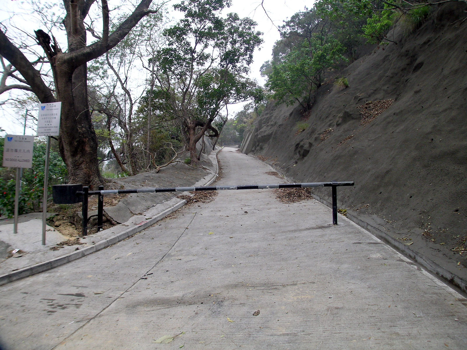 Photo 4: Mount Davis Service Reservoir Temporary Garden