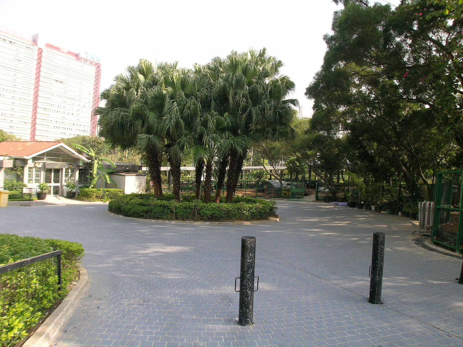 Photo 4: Yeung Siu Hang Garden