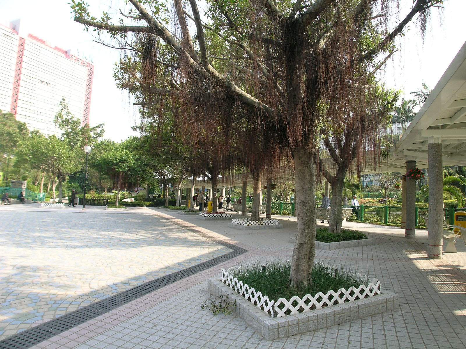 Photo 9: Yeung Siu Hang Garden