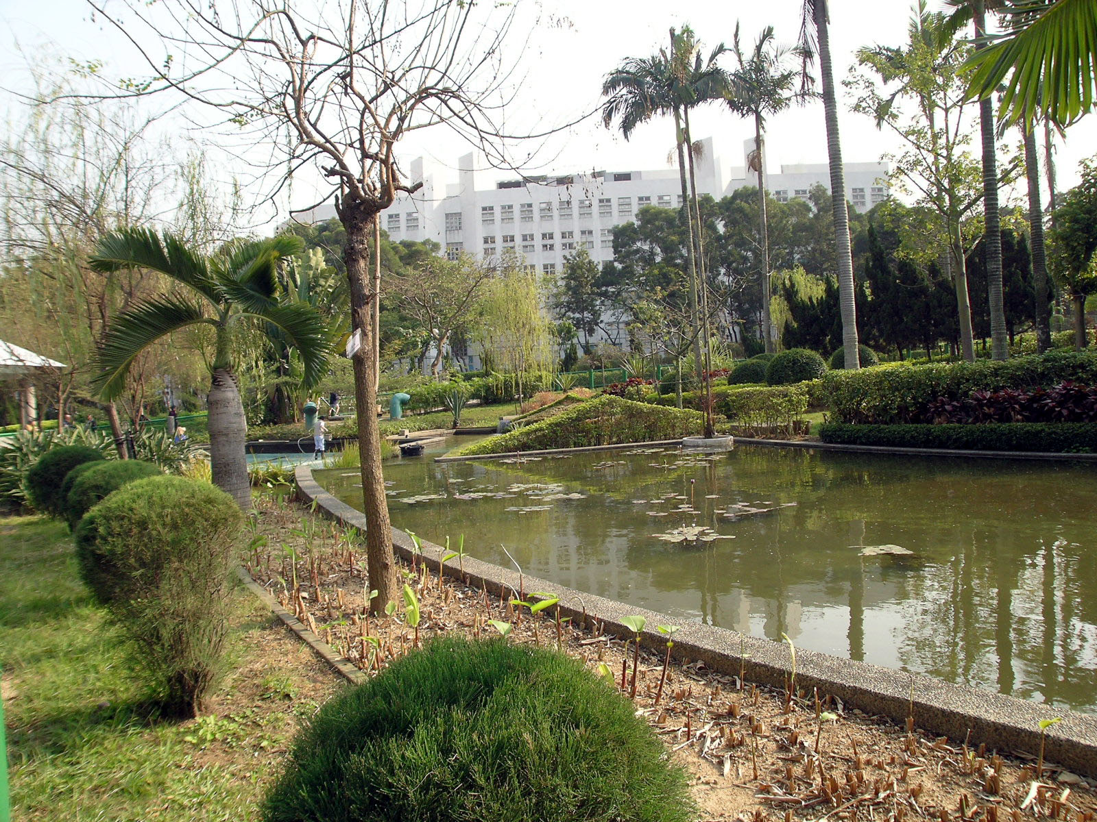 Photo 12: Yeung Siu Hang Garden