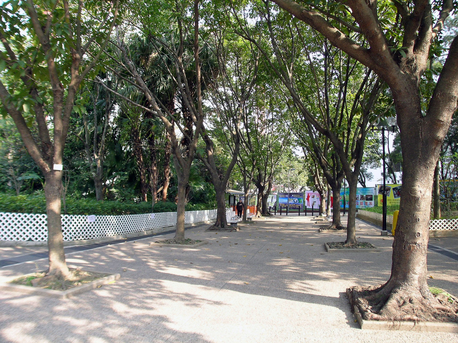 Photo 16: Yeung Siu Hang Garden