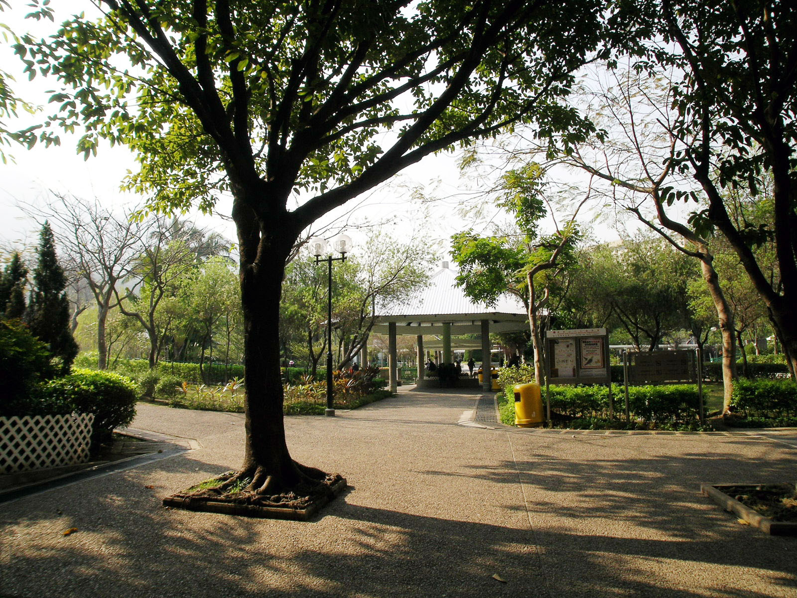 Photo 17: Yeung Siu Hang Garden