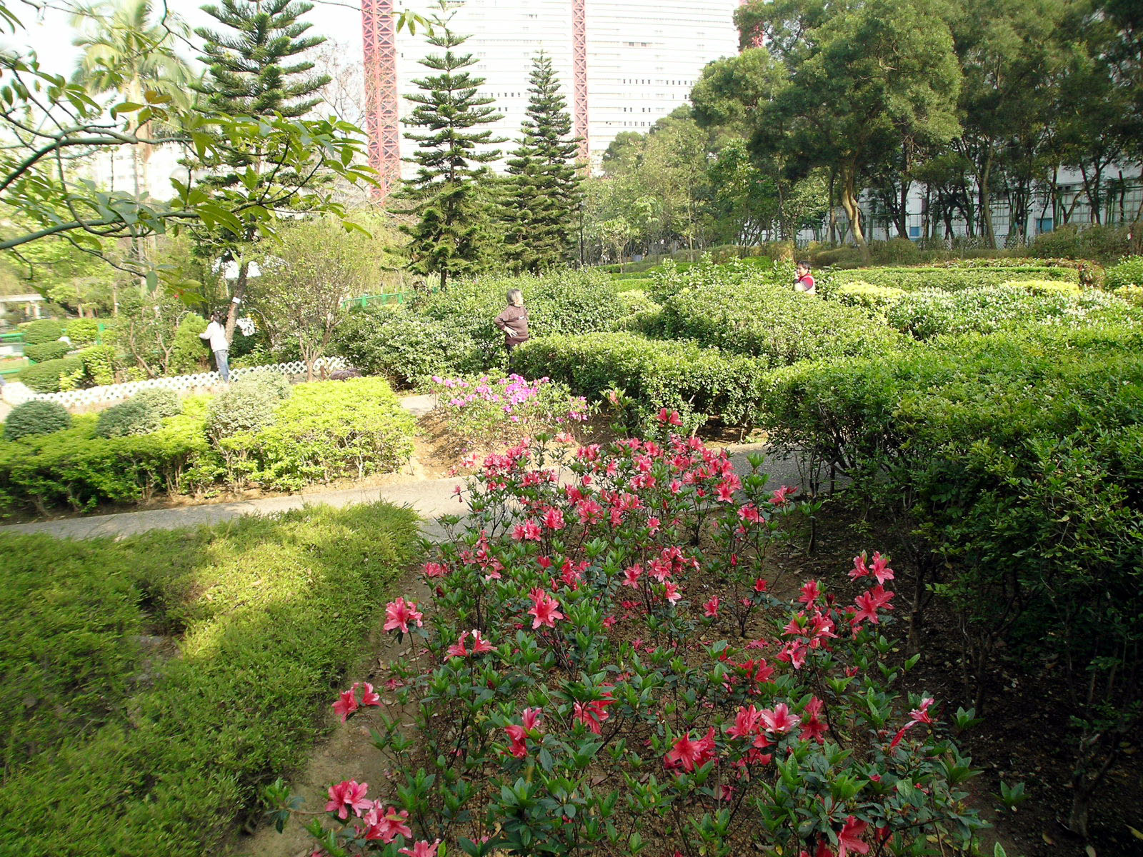 Photo 19: Yeung Siu Hang Garden