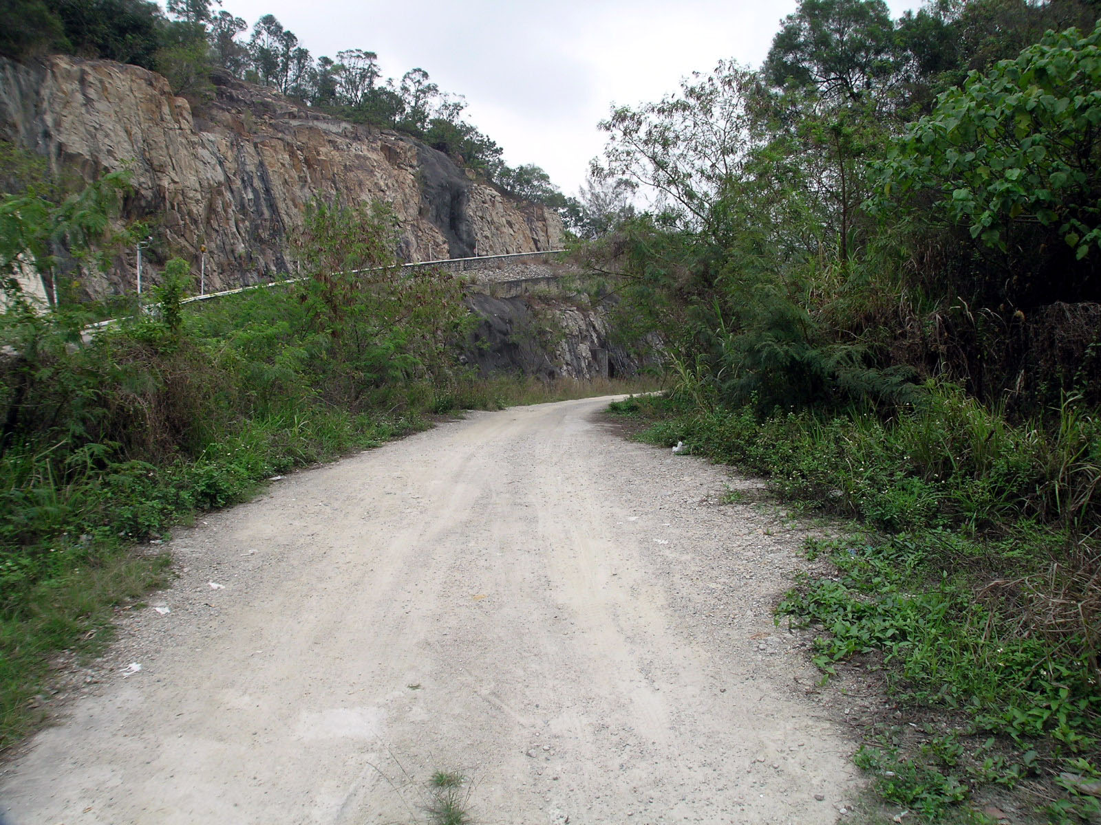 Photo 2: Government Land near Kwun Fat Street (the section after the junction with Kwun Fung Street)