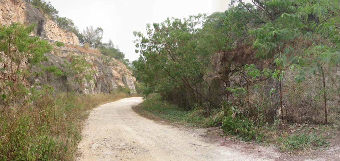 Photo 3: Government Land near Kwun Fat Street (the section after the junction with Kwun Fung Street)