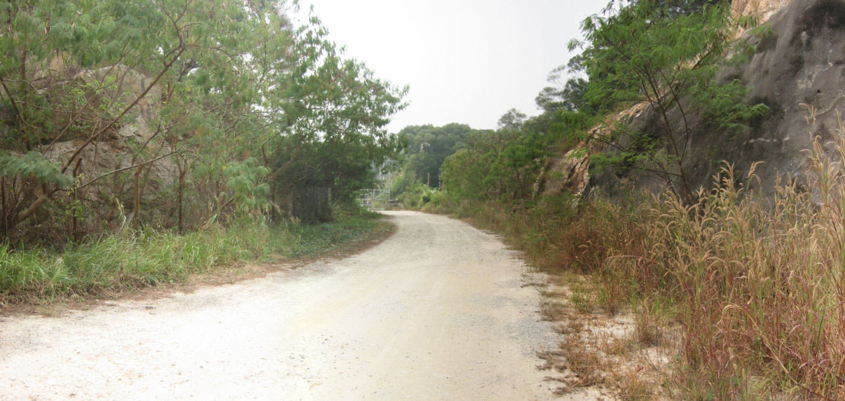 Photo 4: Government Land near Kwun Fat Street (the section after the junction with Kwun Fung Street)