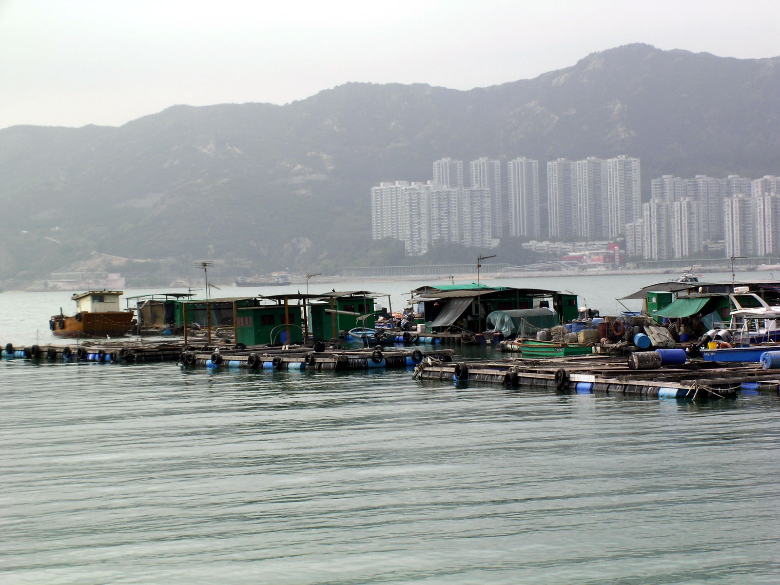 相片 9: 馬灣魚類養殖區(漁排)