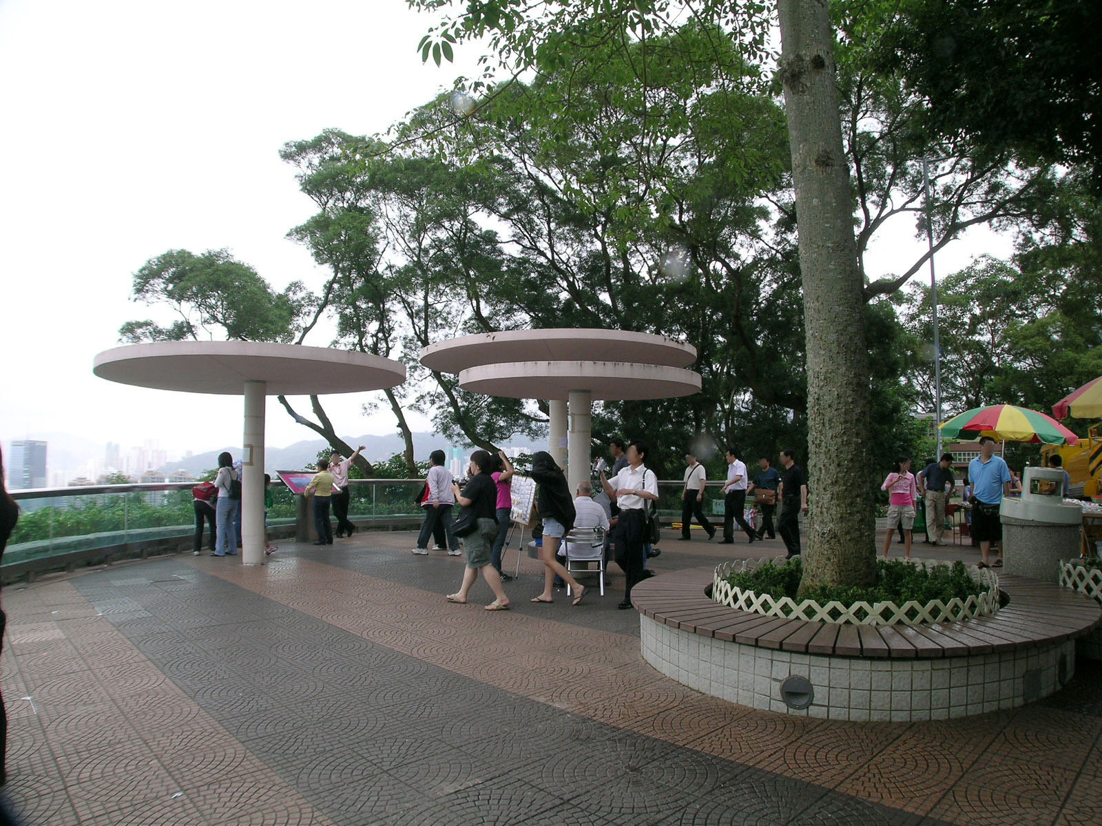 Stubbs Road Lookout