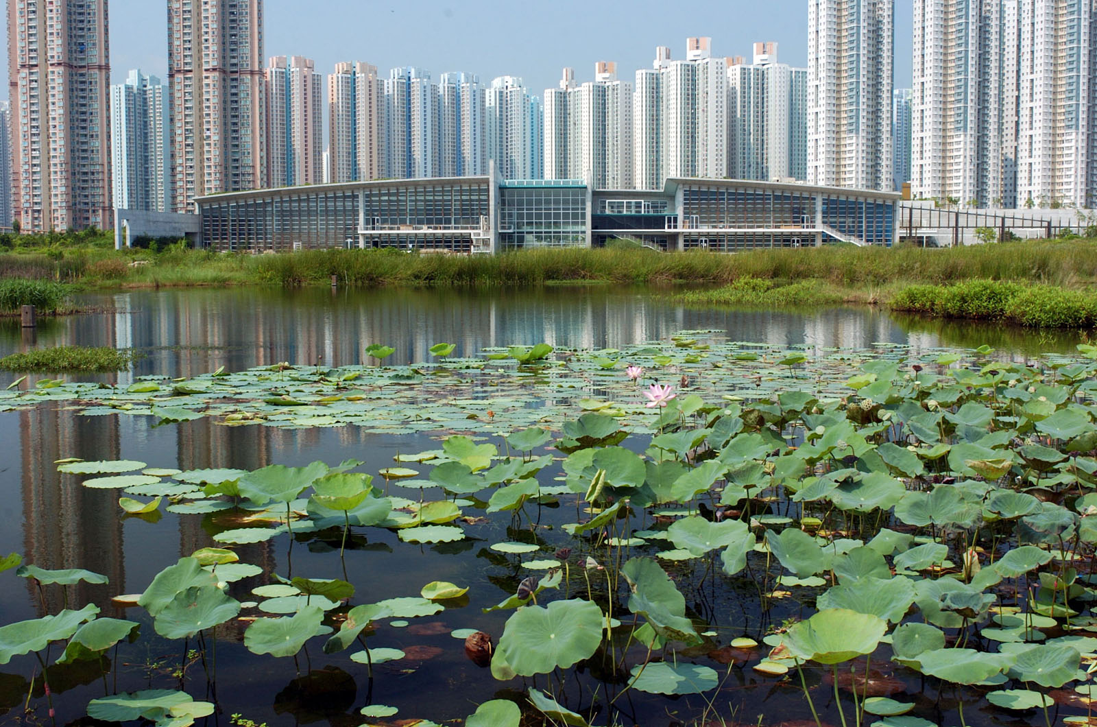 Hong Kong Wetland Park