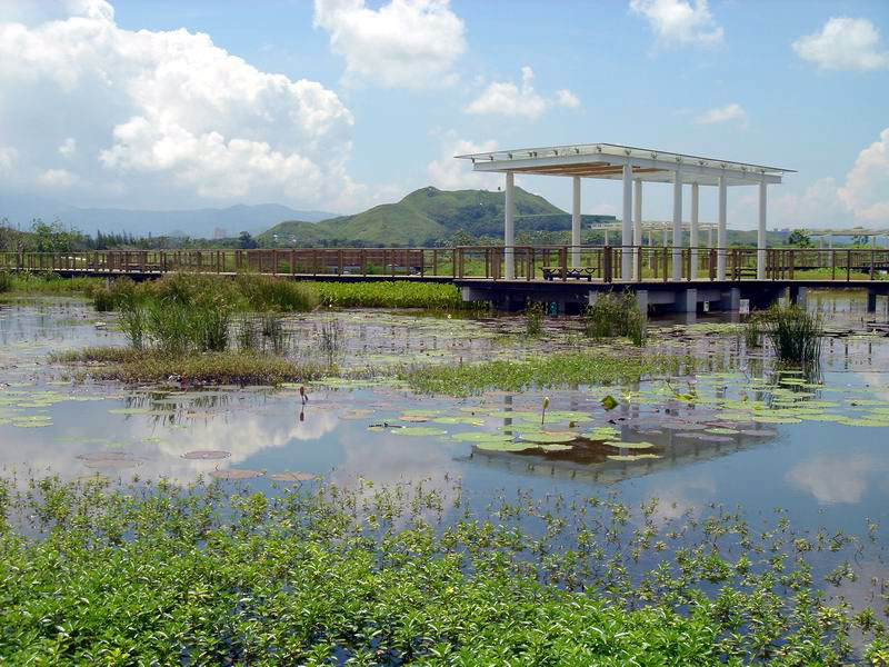 Photo 3: Hong Kong Wetland Park