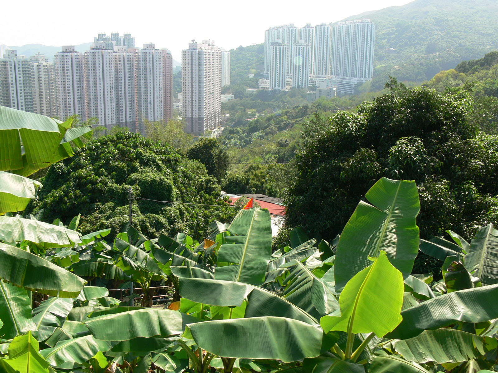 Photo 2: Kwong Pan Tin Tsuen