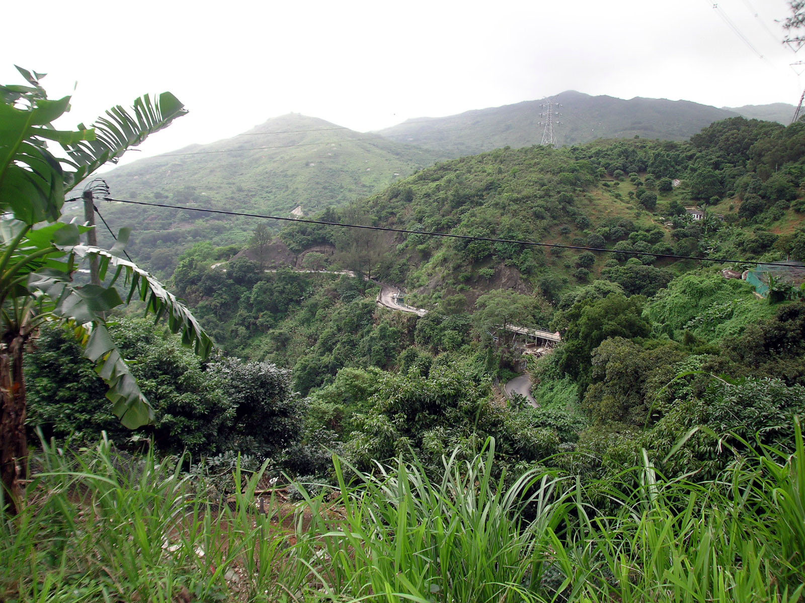 Photo 6: Kwong Pan Tin Tsuen