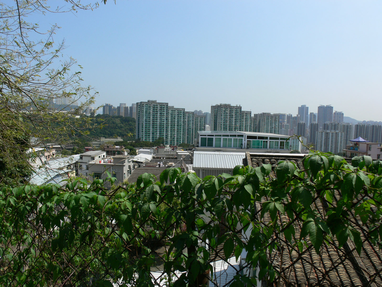 Photo 11: Lo Wai Tsuen