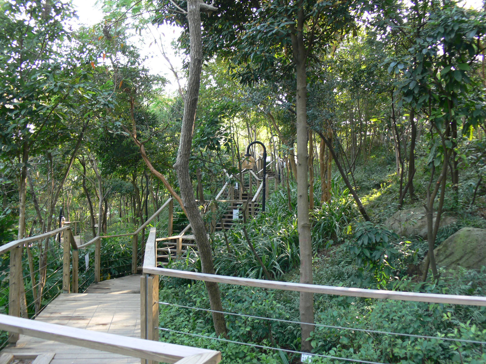 Photo 6: Ma Wan Park