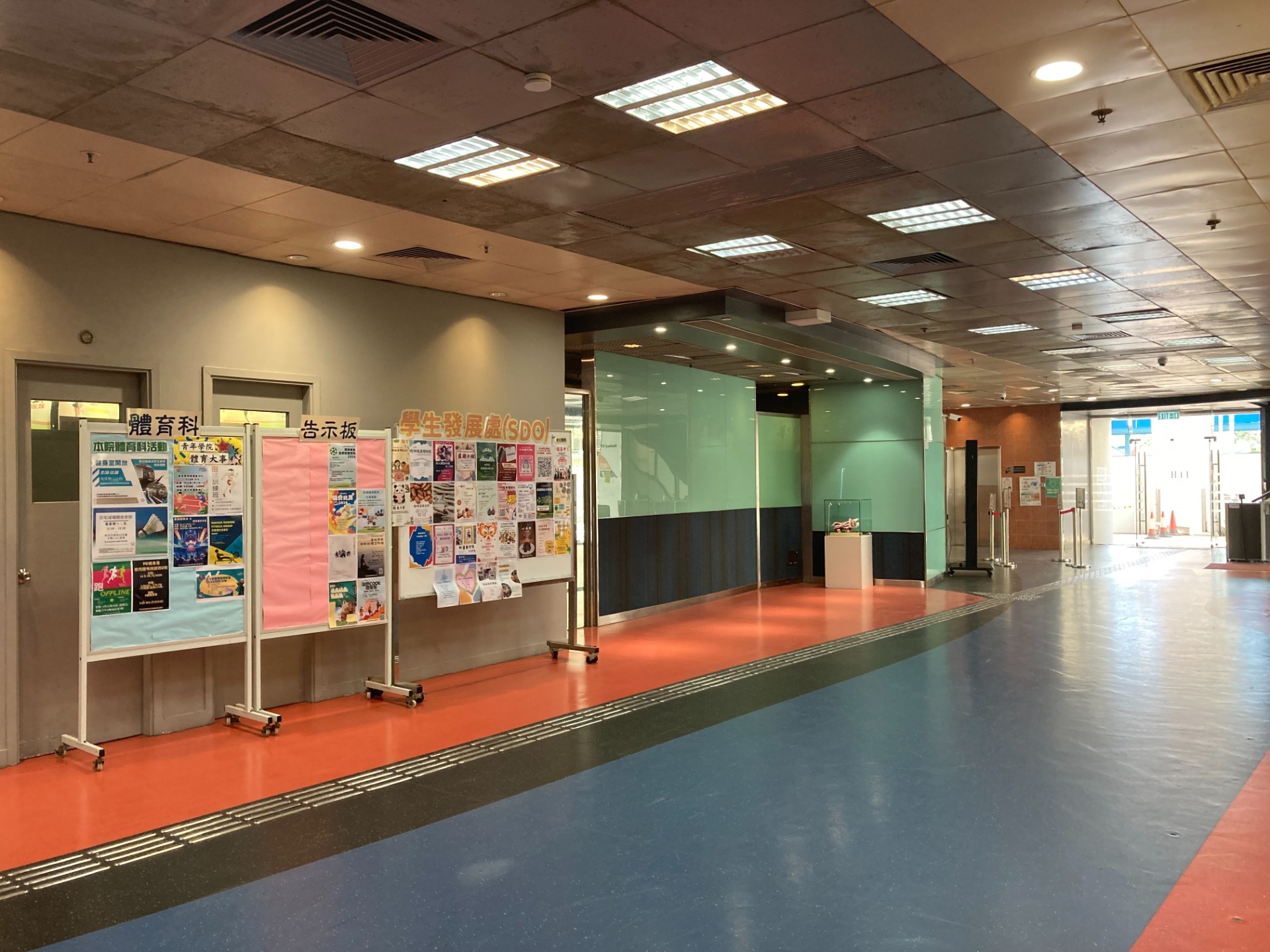 相片 8: 青年學院（九龍灣）