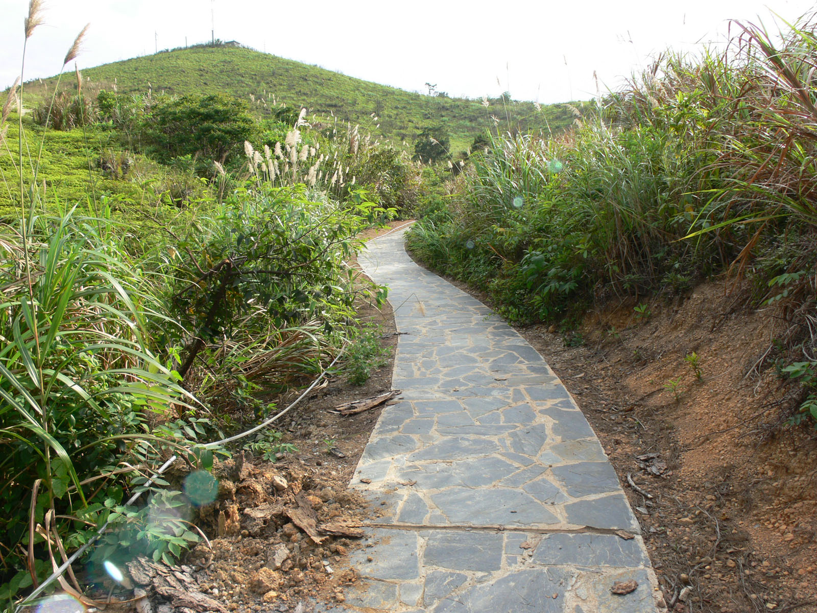 Photo 14: Country Trail at Fu Shan