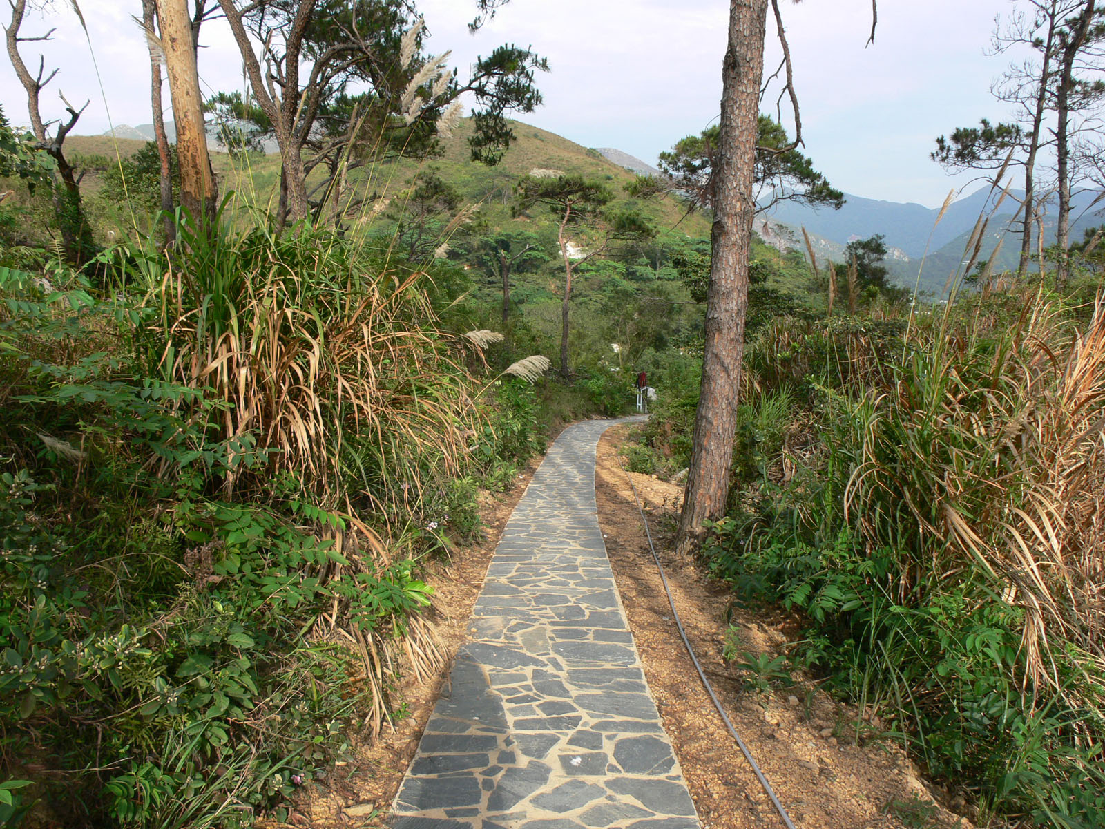 Photo 15: Country Trail at Fu Shan