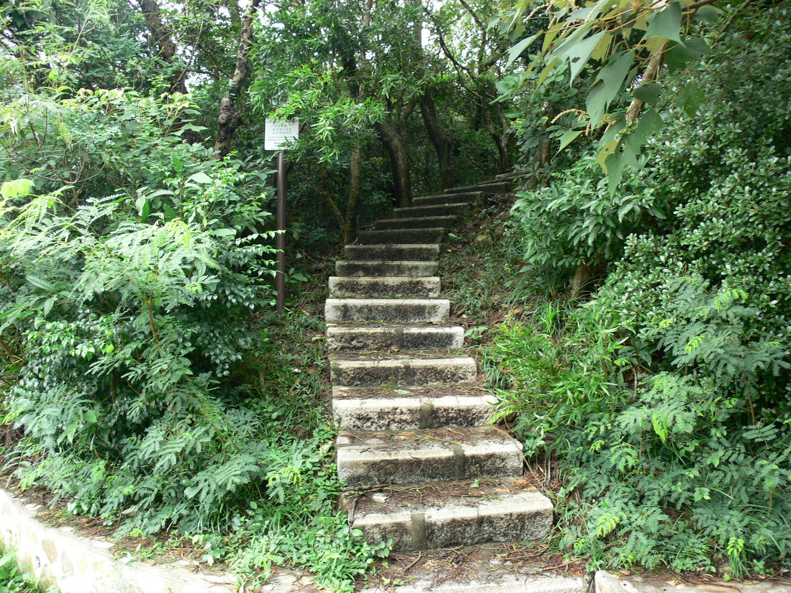 Photo 4: Shek O Country Park