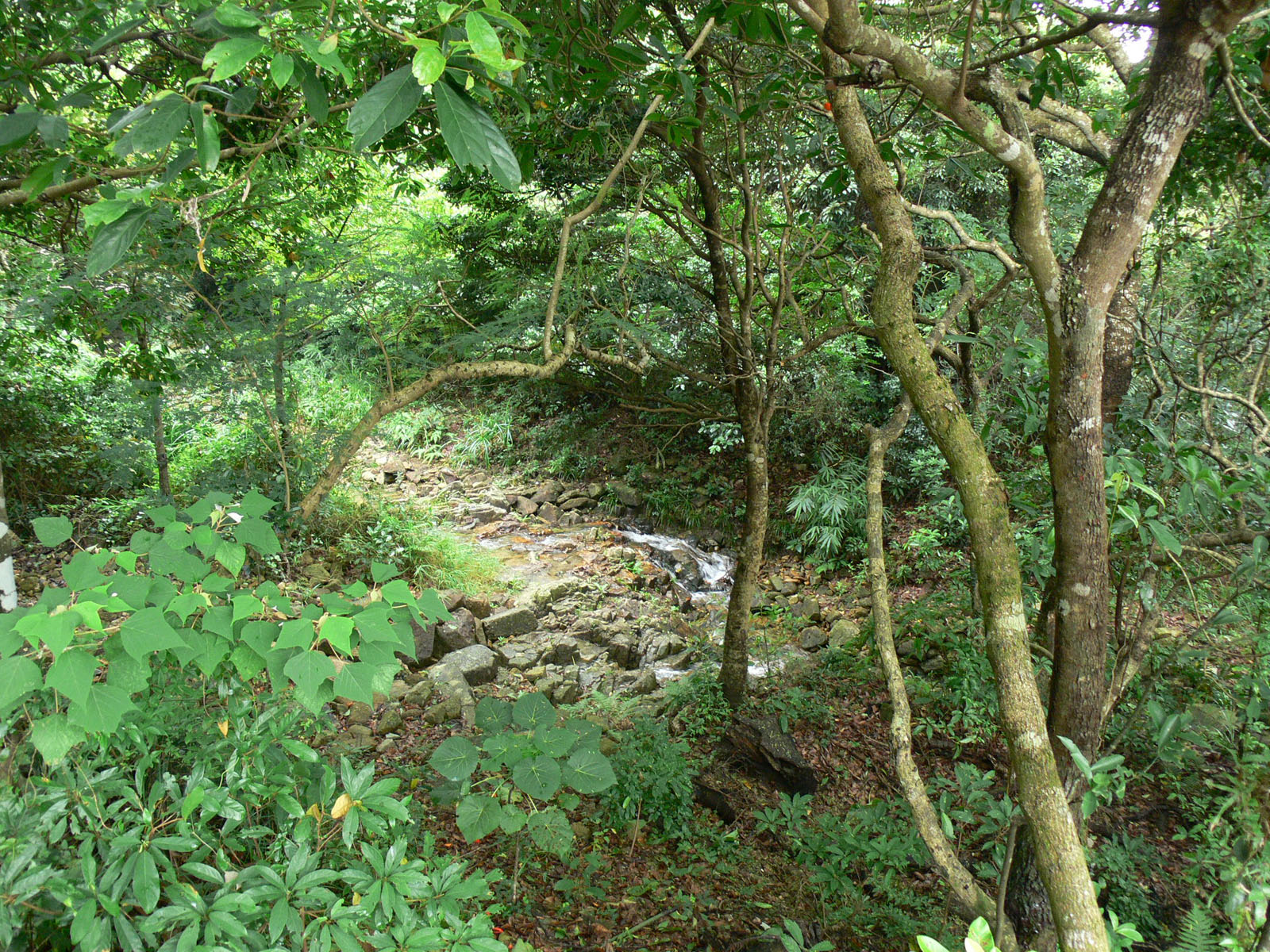 相片 5: 石澳郊野公園