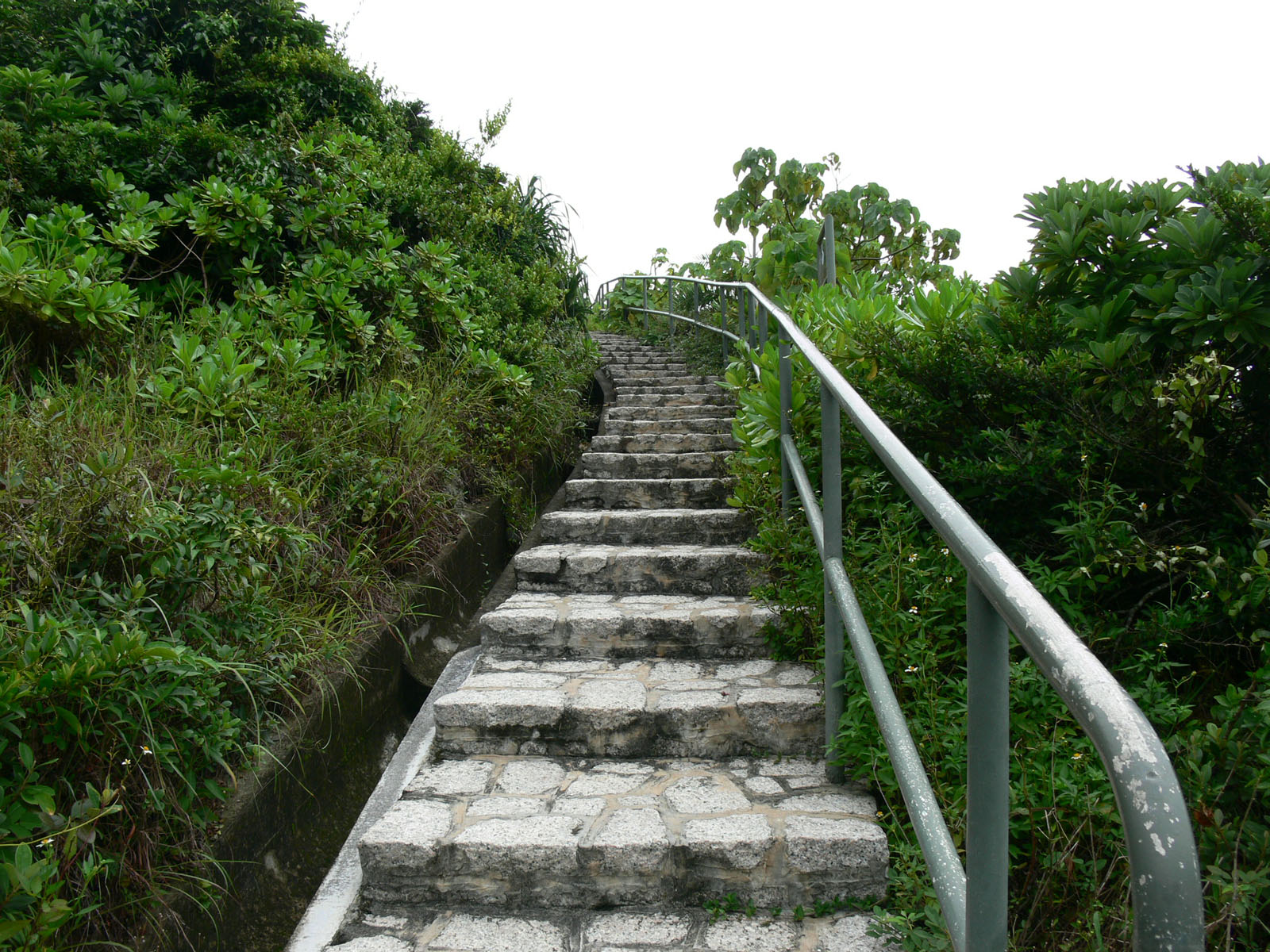 相片 7: 石澳郊野公園