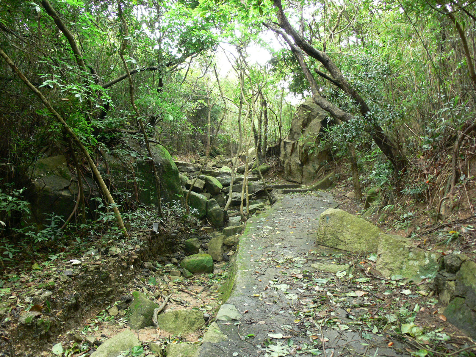 Photo 14: Shek O Country Park