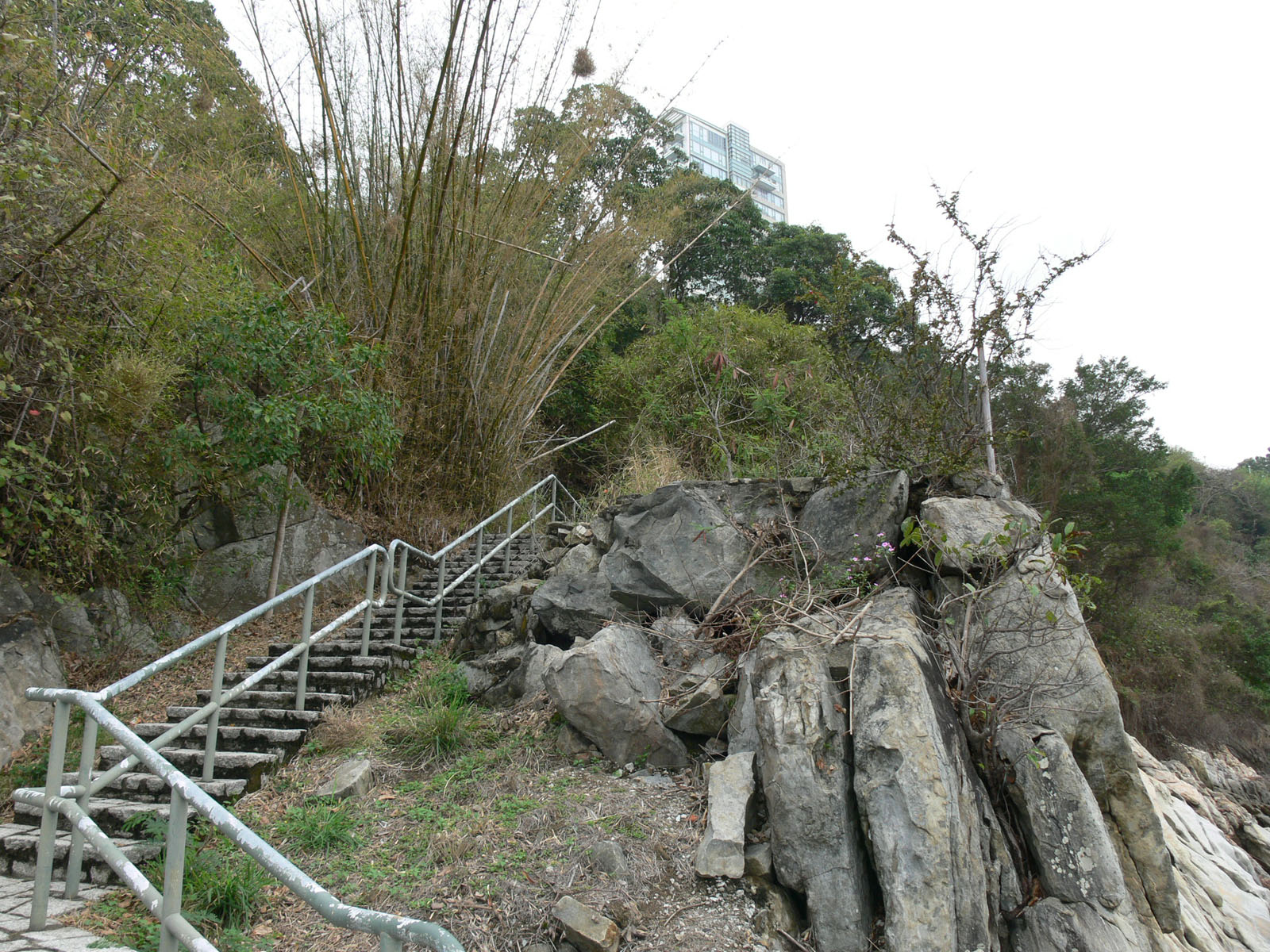 Photo 2: Staircase leading to seashore of Victoria Road