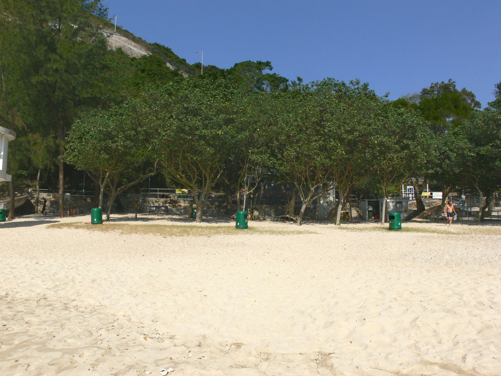 Photo 2: Turtle Cove Beach