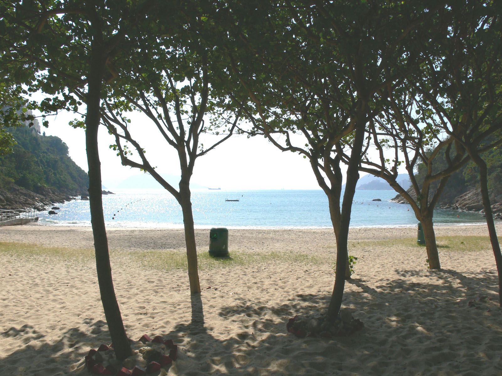 Photo 5: Turtle Cove Beach