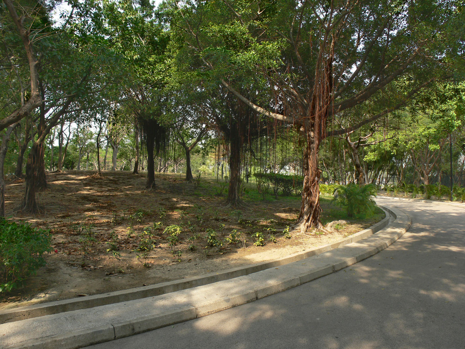 Photo 6: Wu Shan Recreation Playground