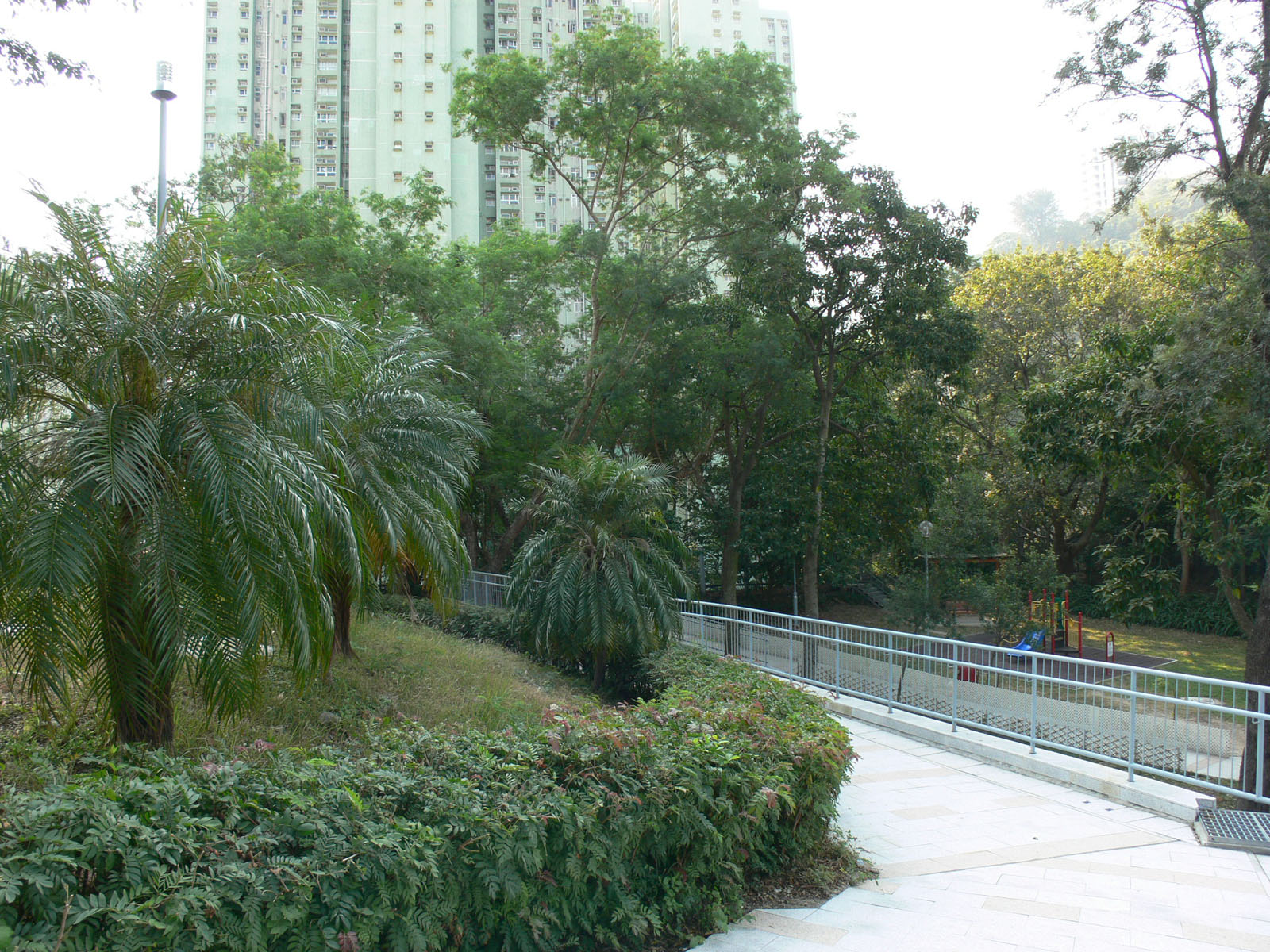 Photo 4: Chai Wan Pool-side Garden