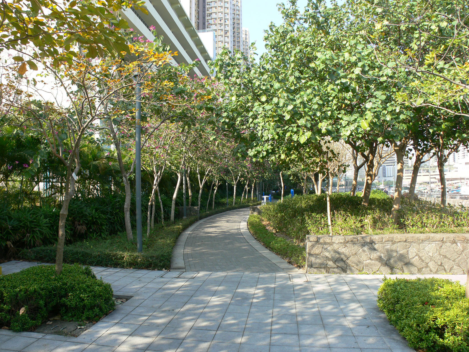 Photo 6: Aldrich Bay Promenade