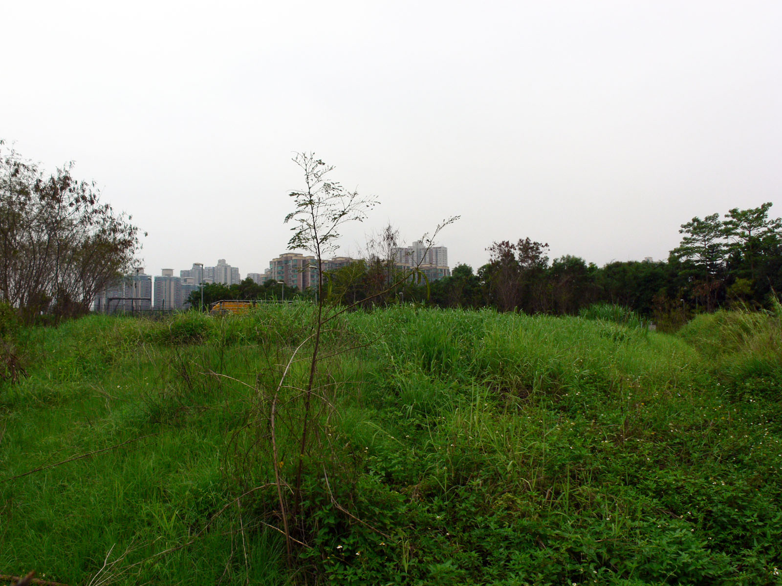 Government Land along River Indus