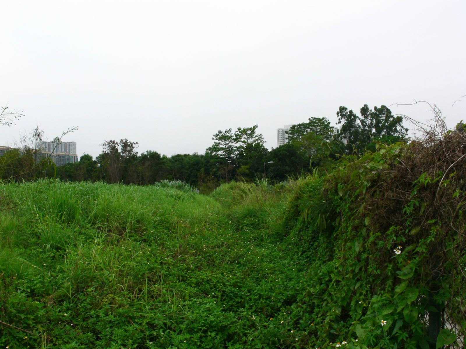 Photo 2: Government Land along River Indus