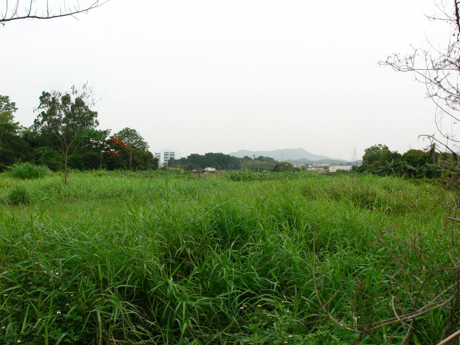 Photo 3: Government Land along River Indus