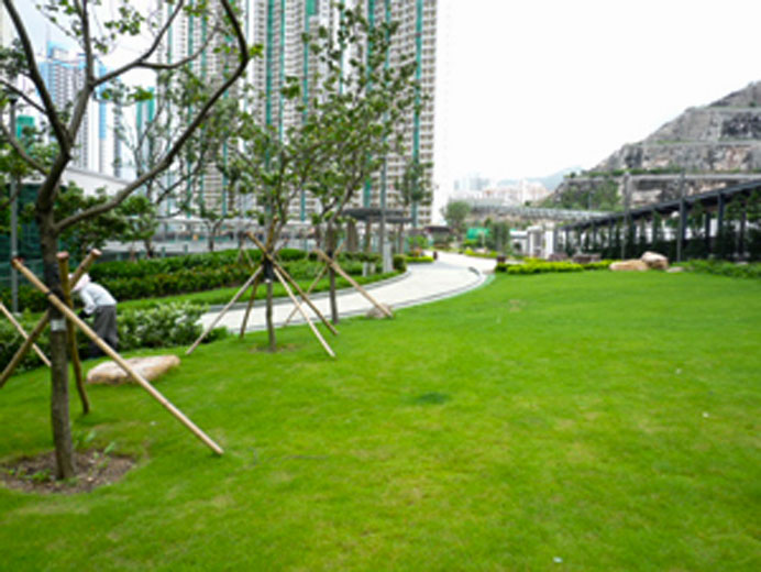 Photo 6: Choi Hei Road Park